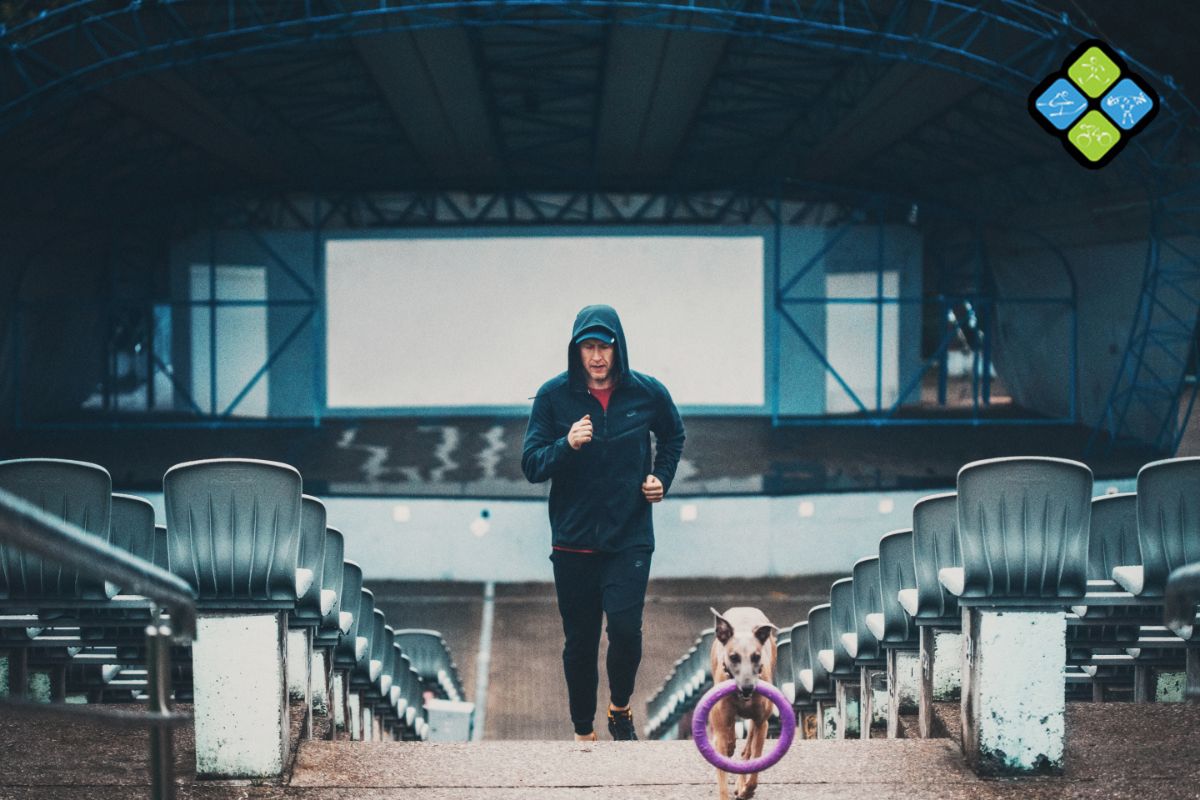 Бесплатная гравитация